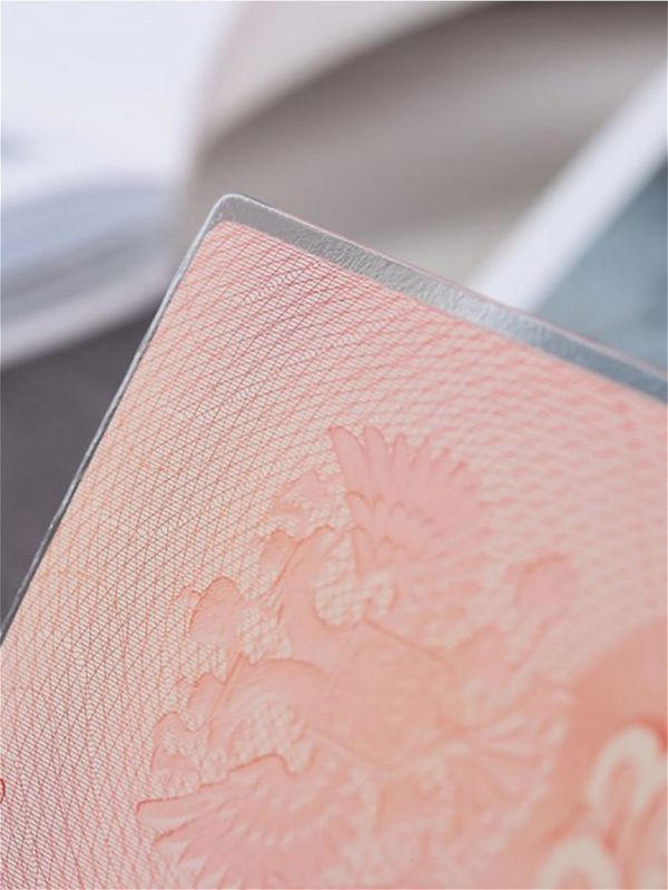 Чехлы для листов паспорта, прозрачные (2128)